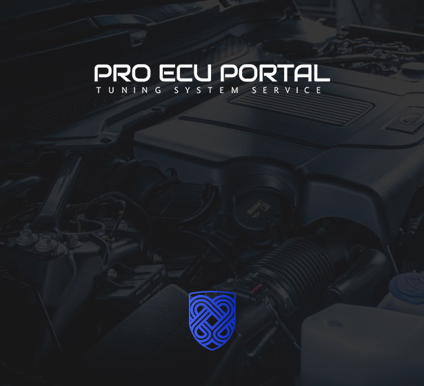 Reiken Ecu Portal